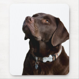 Kärlek Black & Brown Labrador Retriever Mouse Pad Musmatta