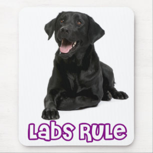 Kärlek Black Labrador Retriever Puppy Hund Mousep Musmatta