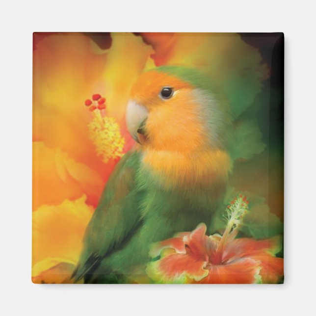 Kärlek bland Hibiscus Art Magnet (Framsidan)