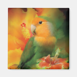 Kärlek bland hibiskuskonstmagneten magnet
