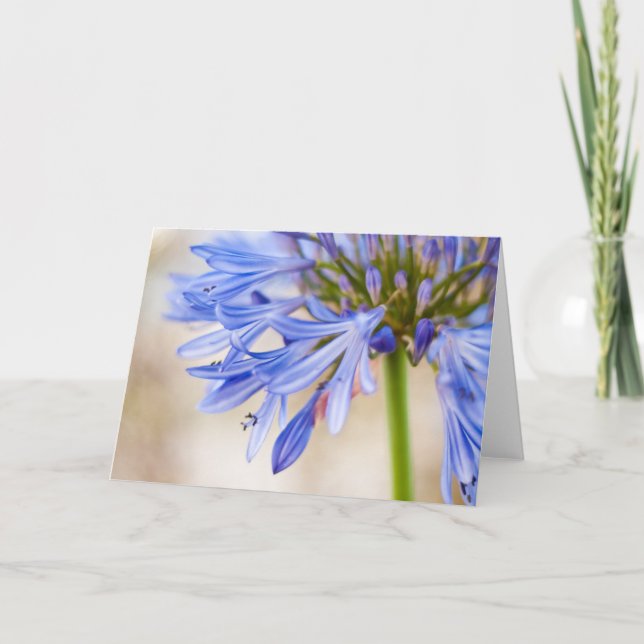 Kärlek-blomsterkort Kort (Framsida)