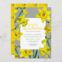 Kärlek blomstrar vår gult-daffodils bröllop