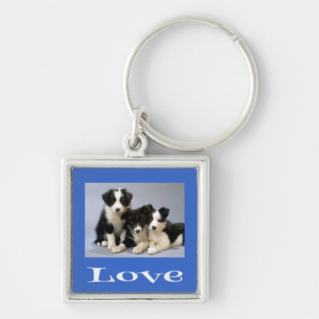 Kärlek Border Collie Valp Blå Hund Nyckelring (Framsidan)