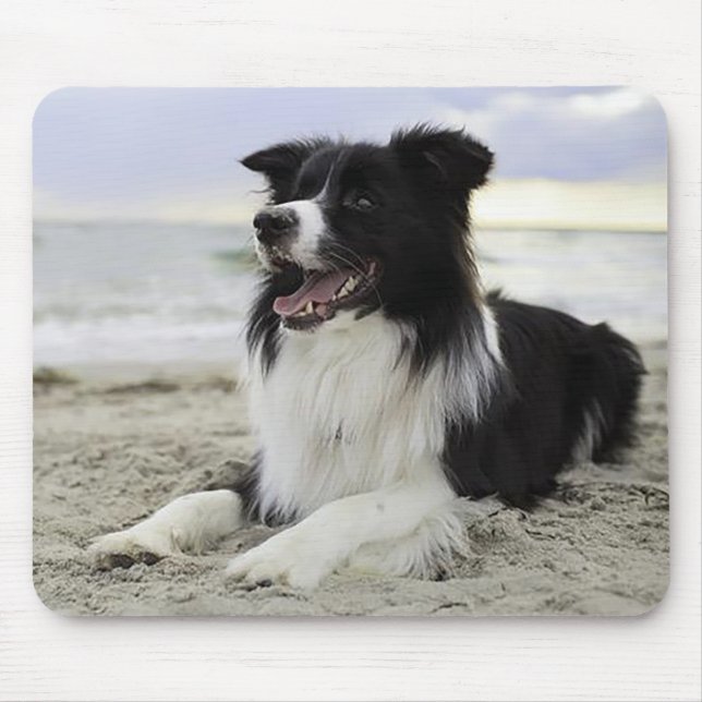 Kärlek Border Collie Valp Hund Musmatta (Framsidan)