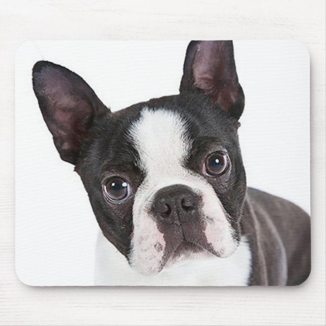 Kärlek Boston Terrier Puppy Hund Computer Mousepad Musmatta (Framsidan)