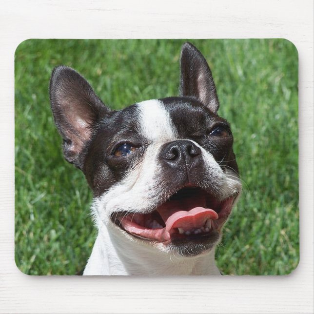 Kärlek Boston Terrier Puppy Hund Computer Mousepad Musmatta (Framsidan)