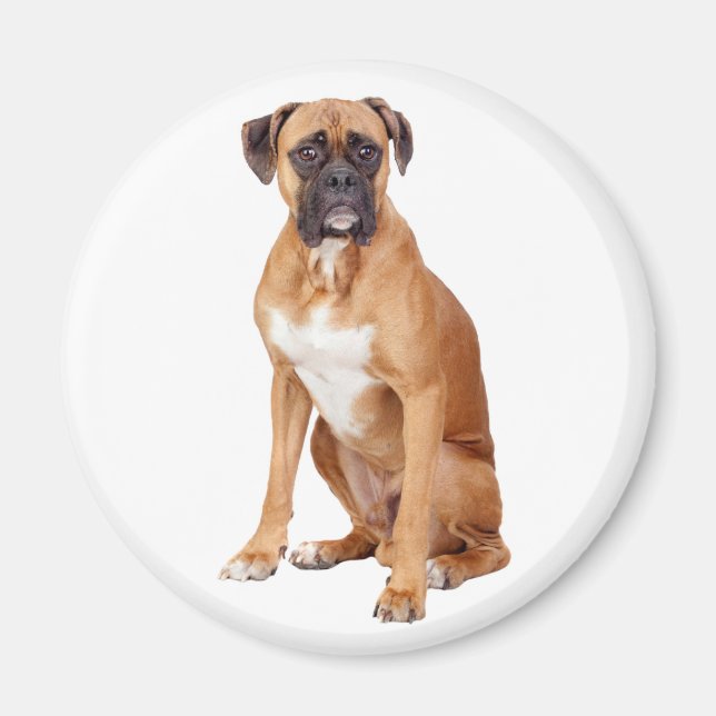 Kärlek Boxer Puppy Hund Fridge Magnet (Framsidan)