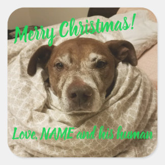 Kärlek Bullet och hans människa Fyrkantigt Klistermärke