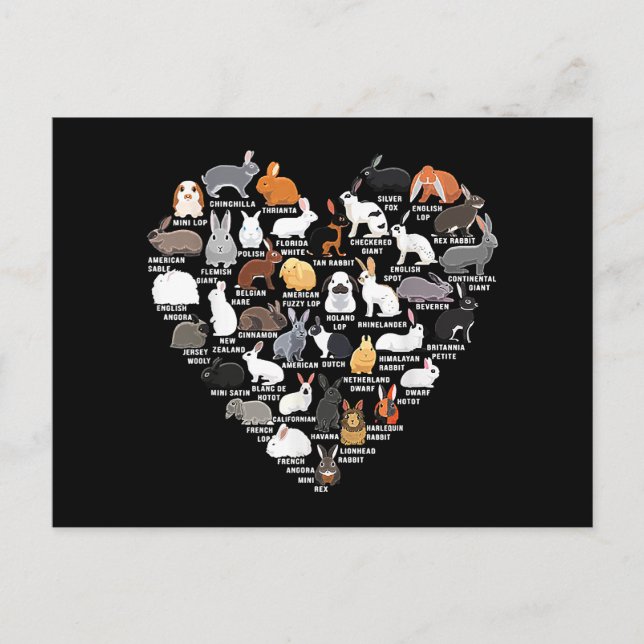 Kärlek Bunnies Funny Rabbit Heart Vykort (Framsida)