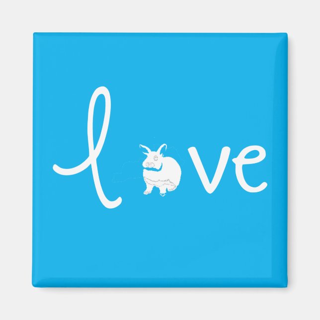 Kärlek bunny magnet (Framsidan)