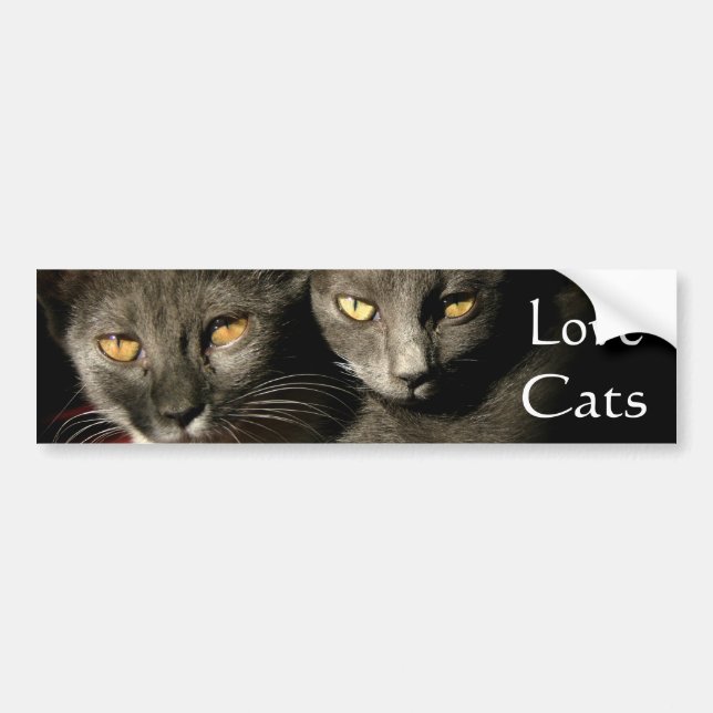 Kärlek Cats Bumper Sticker Bildekal (Framsidan)