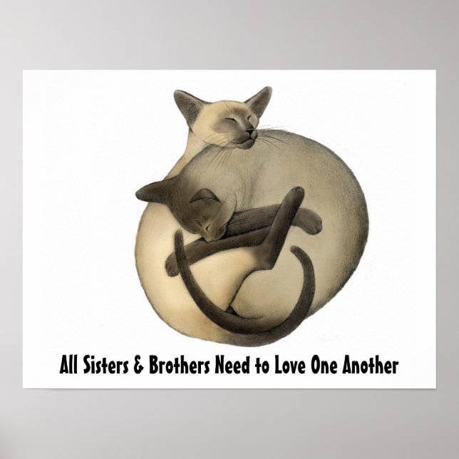 Kärlek Cats Poster (Framsidan)