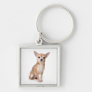 Kärlek Chihuahua Puppy Hund Fyrkantig Silverfärgad Nyckelring