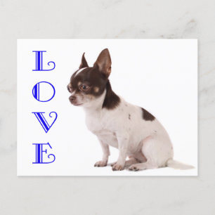 Kärlek Chihuahua Puppy-Hund-kort Vykort