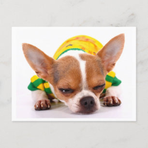 Kärlek Chihuahua Puppy-Hund-kort Vykort