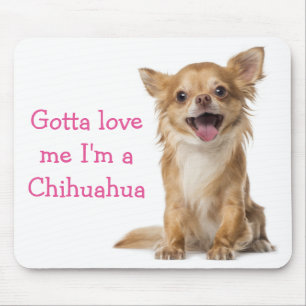 Kärlek Chihuahua Puppy Hund-musslor Musmatta
