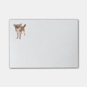 Kärlek Chihuahua Puppy Hund Skicka IT Sticky Note Post-it Block