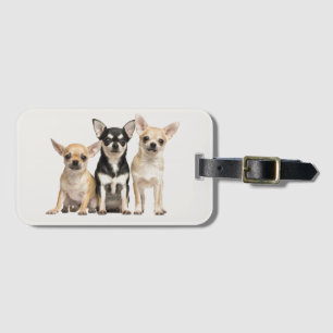 Kärlek Chihuahuas Bagagebricka