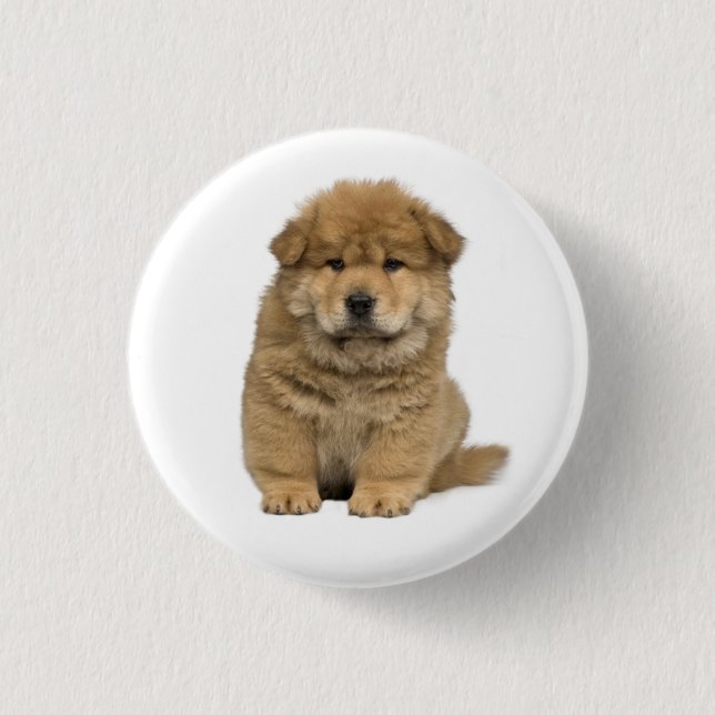 Kärlek Chow Chow Valp Hund Knapp Pin (Framsida)