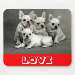 Kärlek Cute Fransk Bulldog Puppy Hund Mousepad Musmatta