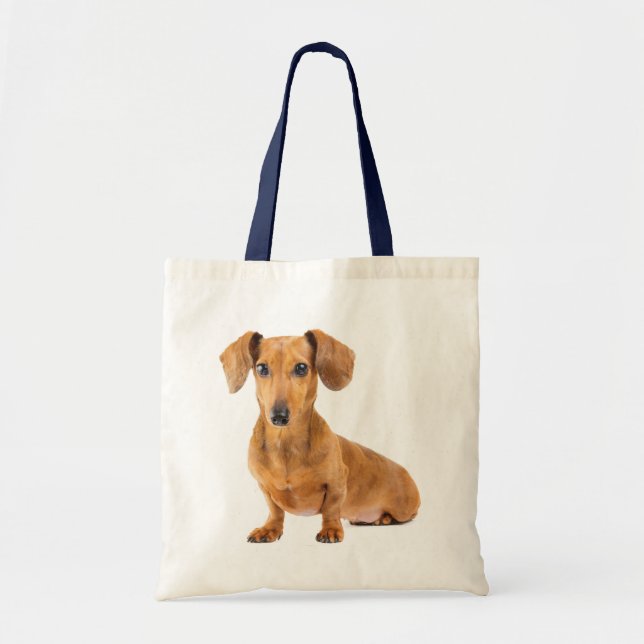 Kärlek Dachshund Puppy Hund Canvas Toit Bag Tygkasse (Framsidan)
