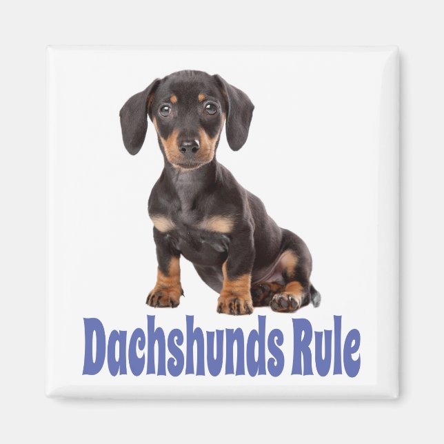 Kärlek Dachshund Puppy Hund Fridge Magnet (Framsidan)