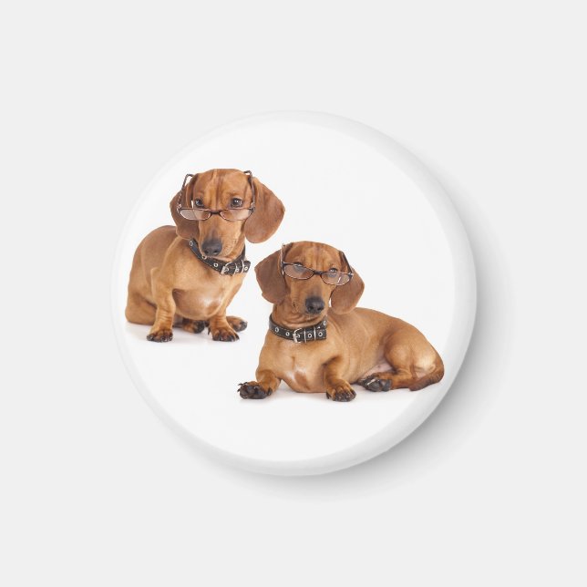 Kärlek Dachshund Puppy Hund Fridge Magnet (Framsidan)