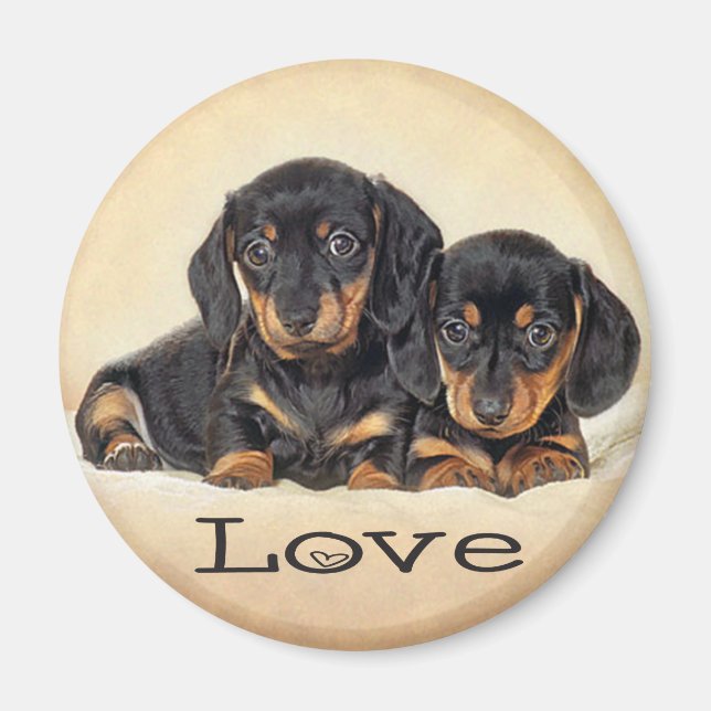 Kärlek Dachshund Puppy Hund Fridge Magnet (Framsidan)