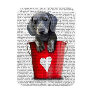 Kärlek Dachshund Puppys fickor Magnet