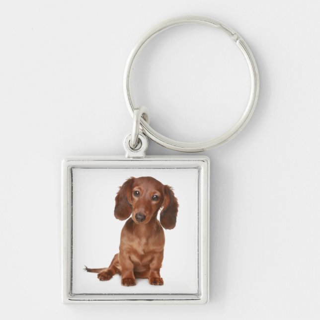 Kärlek Dachshund Valp Hund Nyckelring (Framsidan)