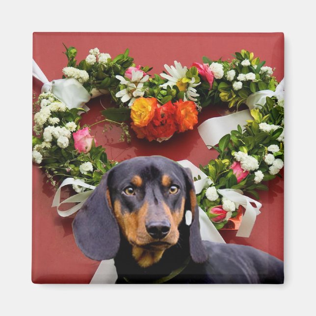 Kärlek Dachsund magnet (Framsidan)