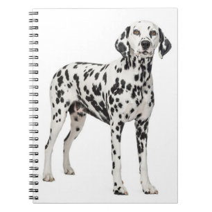 Kärlek Dalmatien Puppy-Hund - Skadade eldsvådor, H Anteckningsbok