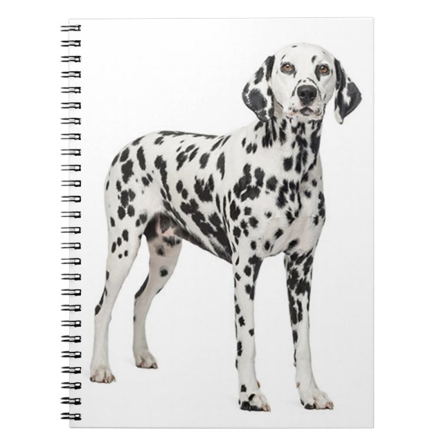 Kärlek Dalmatien Puppy-Hund - Skadade eldsvådor, H Anteckningsbok (Framsidan)