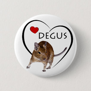 Kärlek Degus Badge Knapp