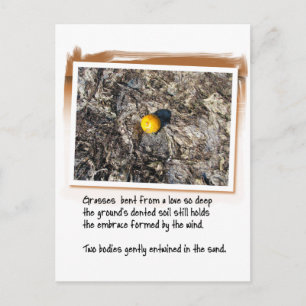 Kärlek Dikt och Beached Orange Vykort