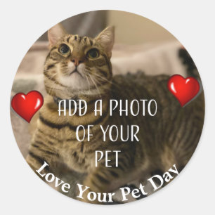 Kärlek Din sällskapsdag Runt Klistermärke