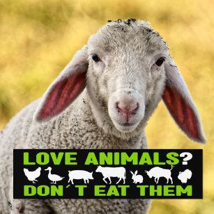 Kärlek djur? Ät dem inte, Vegan Activism Bildekal
