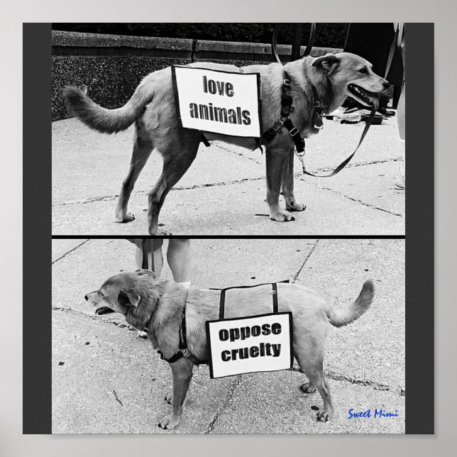 Kärlek-djur Poster (Framsidan)