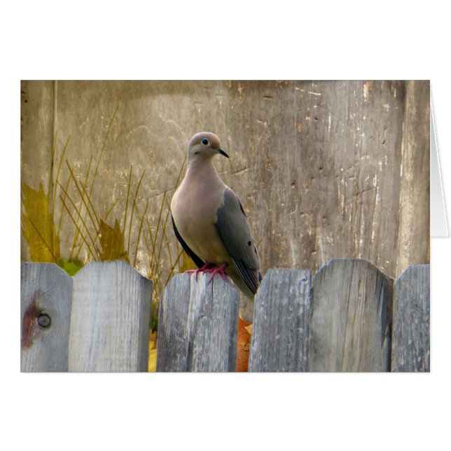 Kärlek Dove Anpassade Hälsningskort (Framsidan Horizontal)