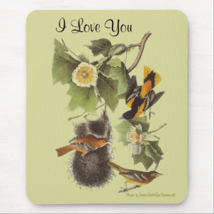 Kärlek Du Audubon Birds Personlig Mousepad Musmatta