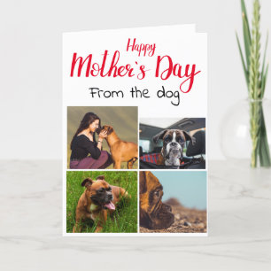 Kärlek du Mamma...4 fotosamlingsplats från hund Tack Kort
