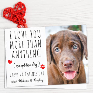 Kärlek Du Rolig hund Älskare Pet Photo Valentines Julkort