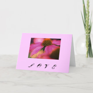 ’Kärlek Echinacea’ Helgkort