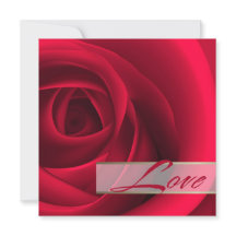 Kärlek. Elegant Röd ros Alla hjärtans dagskort