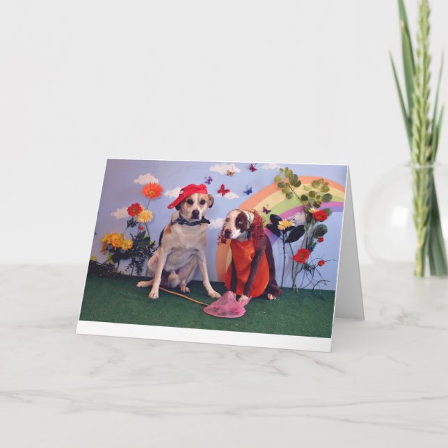 Kärlek- eller årsdagkort, hundfoto som är kort (Framsida)