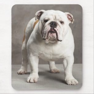 Kärlek (engelsk bulldog) Puppy Hund Mousepad Musmatta
