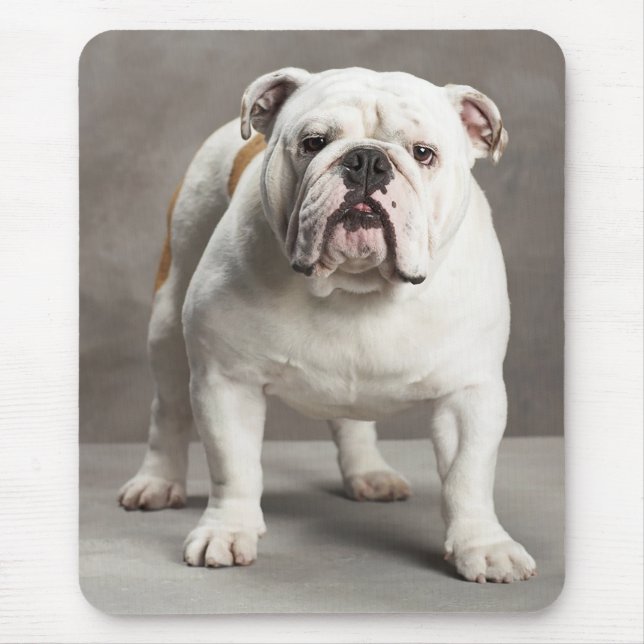 Kärlek (engelsk bulldog) Puppy Hund Mousepad Musmatta (Framsidan)