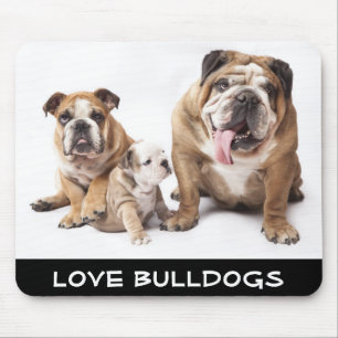 Kärlek (engelska bullhundarna Puppy Hundar Family Musmatta