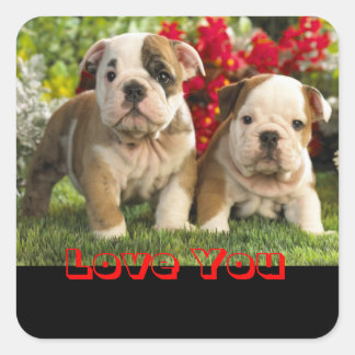 Kärlek English Bulldog Puppy Hund Hälsning Sticker Fyrkantigt Klistermärke