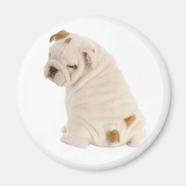 Kärlek English Bulldog Puppy Hund Magnet (Framsidan)